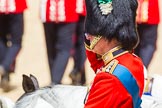 The Colonel's Review 2015.
Horse Guards Parade, Westminster,
London,

United Kingdom,
on 06 June 2015 at 11:44, image #434