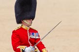 The Colonel's Review 2015.
Horse Guards Parade, Westminster,
London,

United Kingdom,
on 06 June 2015 at 11:45, image #441