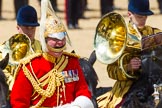 The Colonel's Review 2015.
Horse Guards Parade, Westminster,
London,

United Kingdom,
on 06 June 2015 at 11:58, image #538