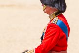 The Colonel's Review 2015.
Horse Guards Parade, Westminster,
London,

United Kingdom,
on 06 June 2015 at 12:07, image #578