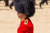 The Colonel's Review 2015.
Horse Guards Parade, Westminster,
London,

United Kingdom,
on 06 June 2015 at 12:07, image #579