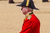 The Colonel's Review 2015.
Horse Guards Parade, Westminster,
London,

United Kingdom,
on 06 June 2015 at 12:07, image #580