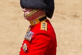 The Colonel's Review 2015.
Horse Guards Parade, Westminster,
London,

United Kingdom,
on 06 June 2015 at 12:07, image #581