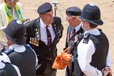 The Colonel's Review 2015.
Horse Guards Parade, Westminster,
London,

United Kingdom,
on 06 June 2015 at 12:11, image #595