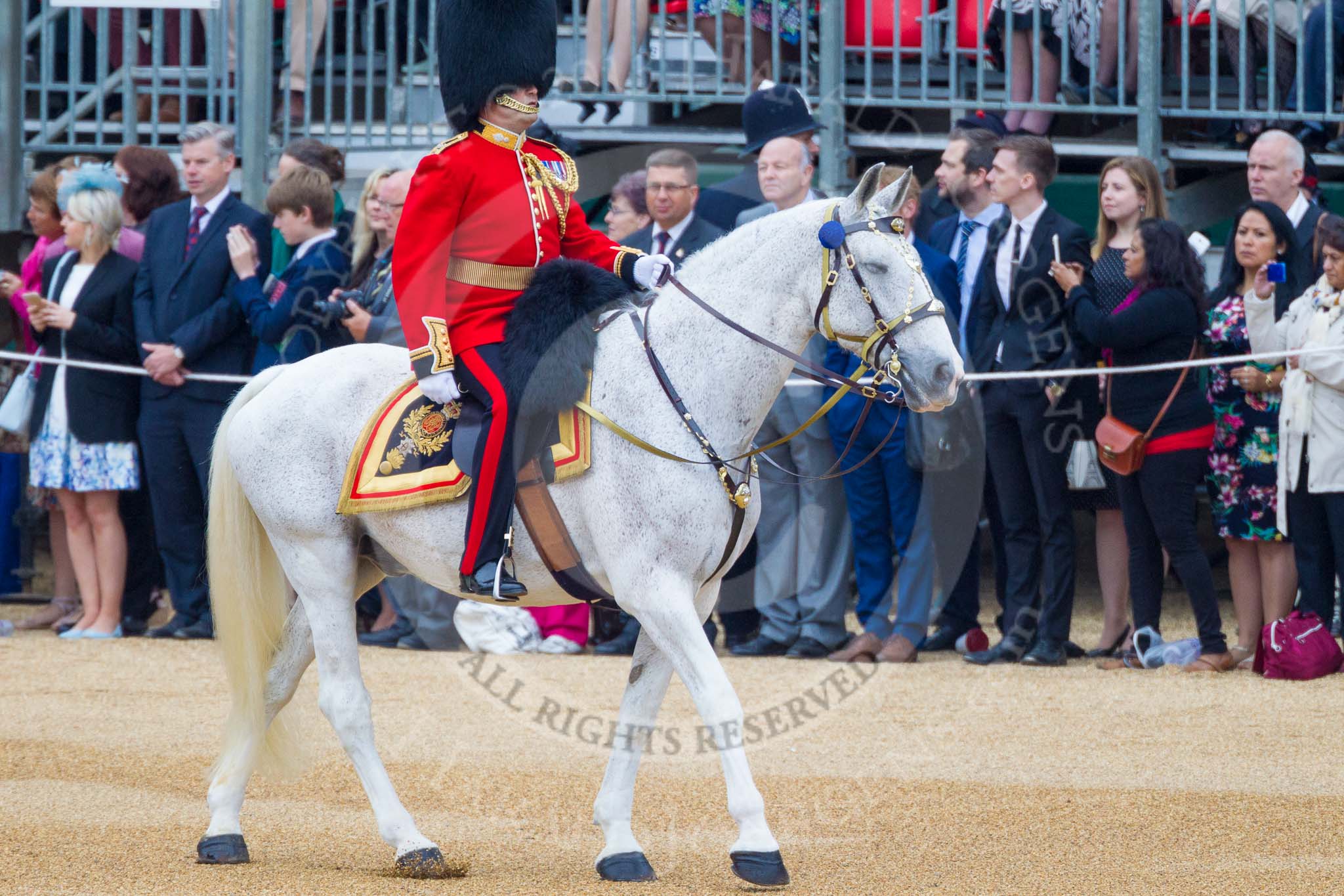 Trooping the Colour 2015. Image #218, 13 June 2015 10:56 Horse Guards Parade, London, UK
