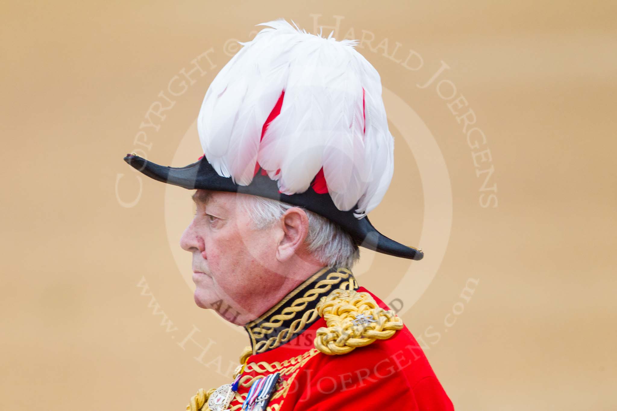 Trooping the Colour 2015. Image #265, 13 June 2015 11:00 Horse Guards Parade, London, UK