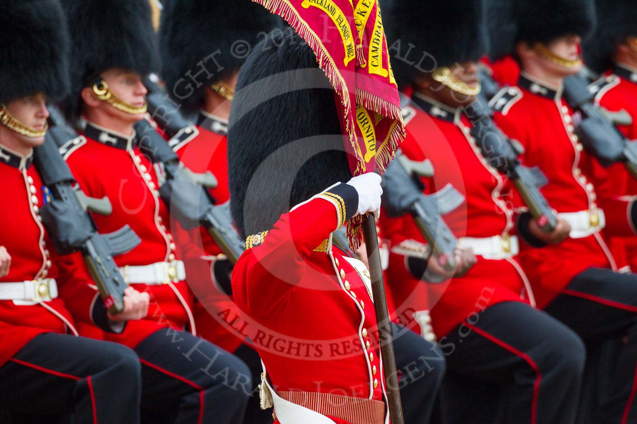 Trooping the Colour 2015. Image #451, 13 June 2015 11:34 Horse Guards Parade, London, UK