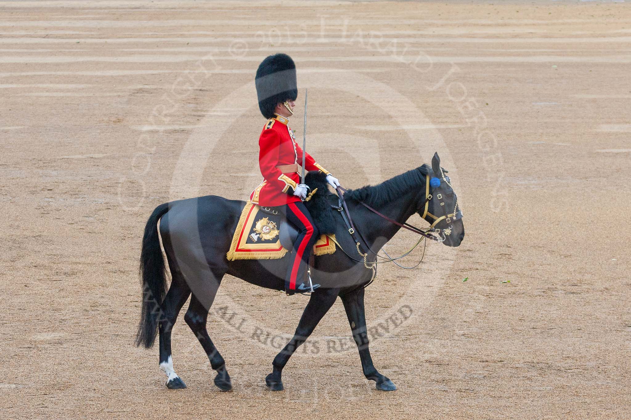 Trooping the Colour 2015. Image #504, 13 June 2015 11:44 Horse Guards Parade, London, UK