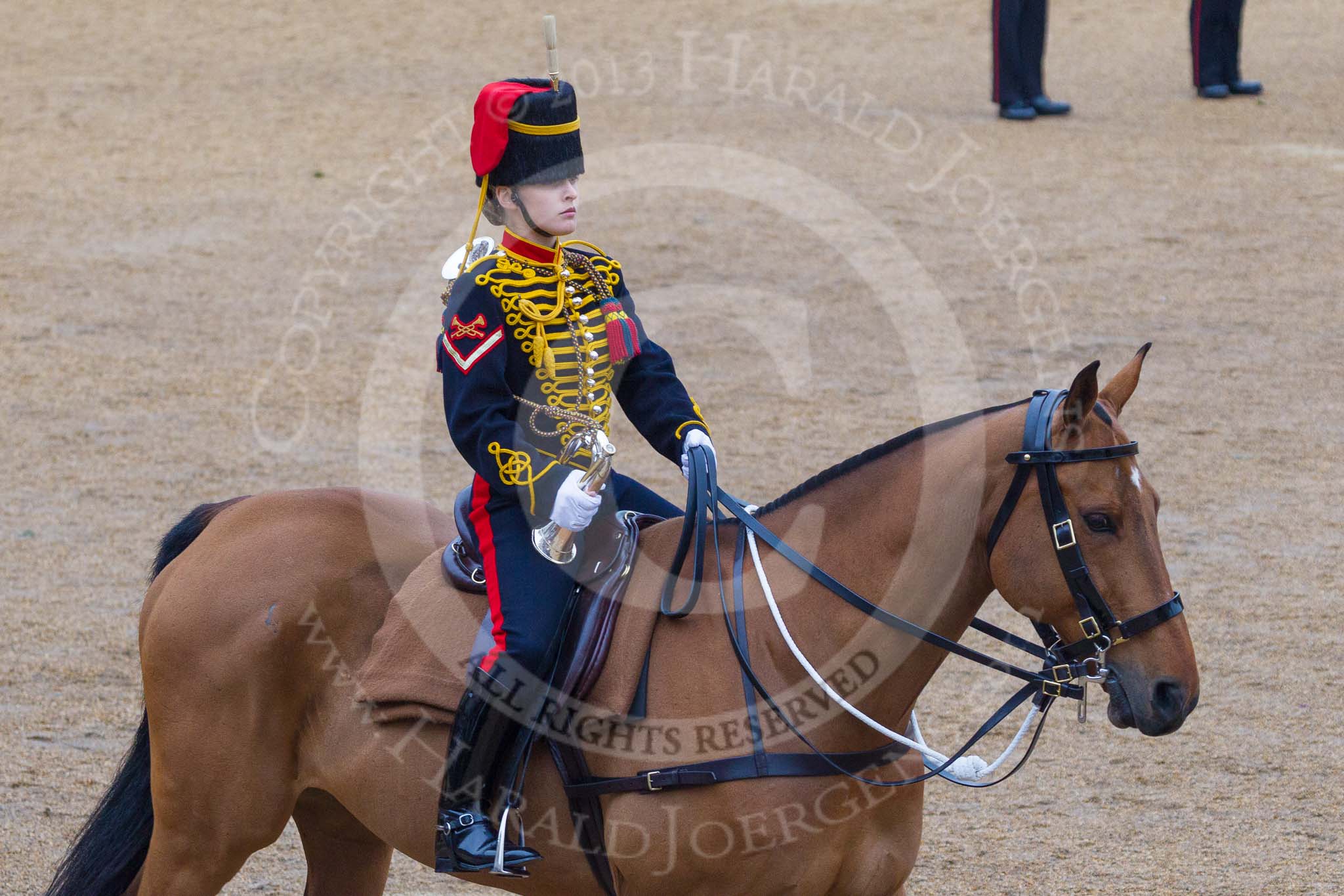 Trooping the Colour 2015.
Horse Guards Parade, Westminster,
London,

United Kingdom,
on 13 June 2015 at 11:53, image #531