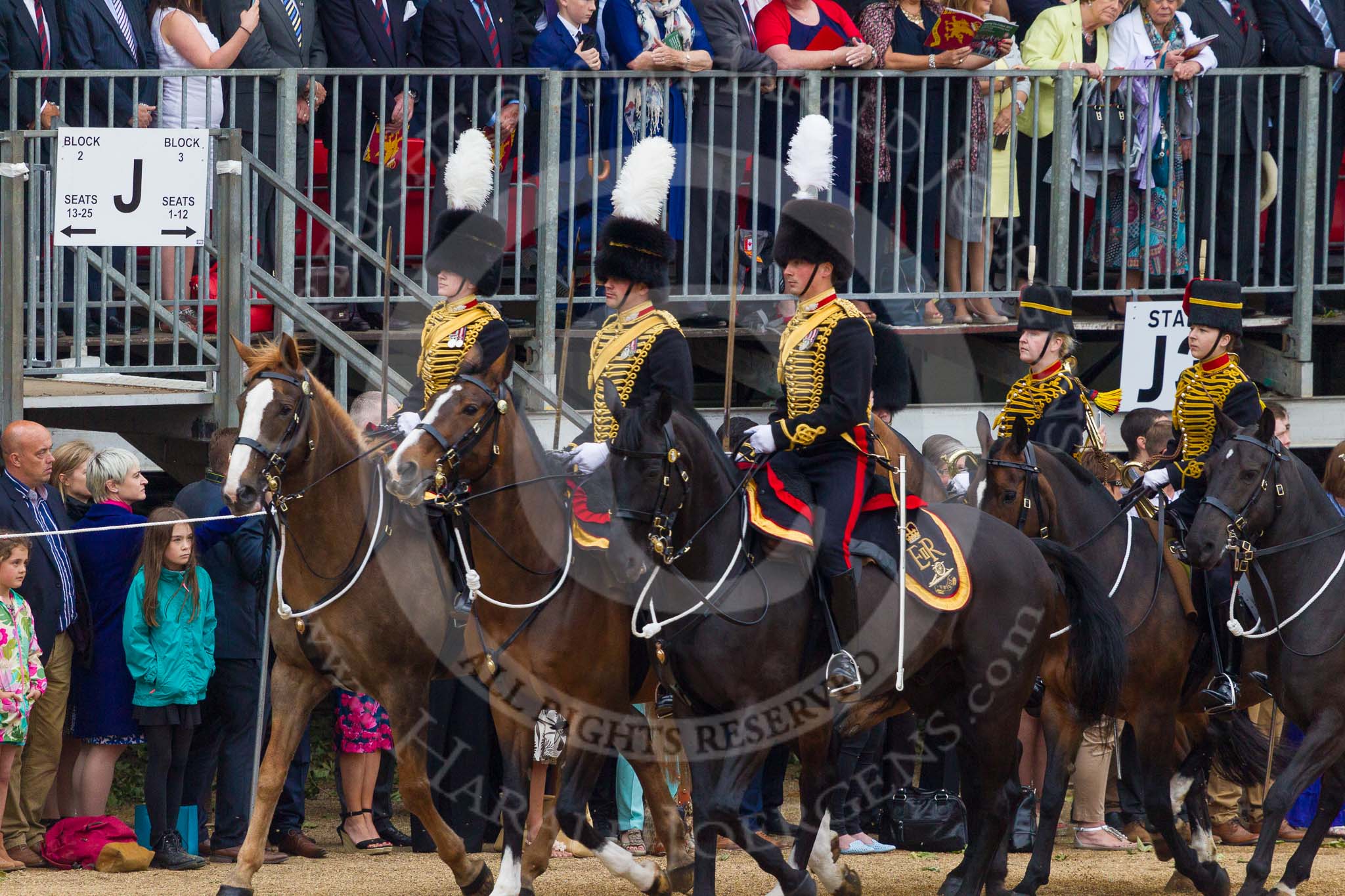 Trooping the Colour 2015. Image #576, 13 June 2015 11:56 Horse Guards Parade, London, UK