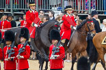 Trooping the Colour 2015. Image #244, 13 June 2015 10:59 Horse Guards Parade, London, UK