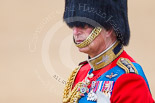 Trooping the Colour 2015. Image #264, 13 June 2015 11:00 Horse Guards Parade, London, UK