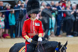 Trooping the Colour 2015. Image #436, 13 June 2015 11:33 Horse Guards Parade, London, UK