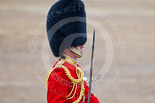 Trooping the Colour 2015. Image #438, 13 June 2015 11:33 Horse Guards Parade, London, UK