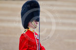 Trooping the Colour 2015. Image #439, 13 June 2015 11:33 Horse Guards Parade, London, UK