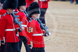 Trooping the Colour 2015. Image #441, 13 June 2015 11:33 Horse Guards Parade, London, UK