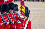 Trooping the Colour 2015. Image #447, 13 June 2015 11:34 Horse Guards Parade, London, UK