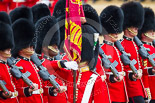 Trooping the Colour 2015. Image #448, 13 June 2015 11:34 Horse Guards Parade, London, UK