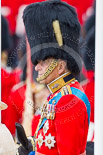 Trooping the Colour 2015. Image #474, 13 June 2015 11:37 Horse Guards Parade, London, UK