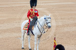 Trooping the Colour 2015. Image #475, 13 June 2015 11:38 Horse Guards Parade, London, UK