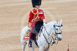 Trooping the Colour 2015. Image #476, 13 June 2015 11:38 Horse Guards Parade, London, UK