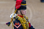 Trooping the Colour 2015. Image #577, 13 June 2015 11:57 Horse Guards Parade, London, UK