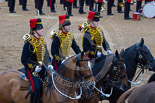 Trooping the Colour 2015. Image #579, 13 June 2015 11:57 Horse Guards Parade, London, UK