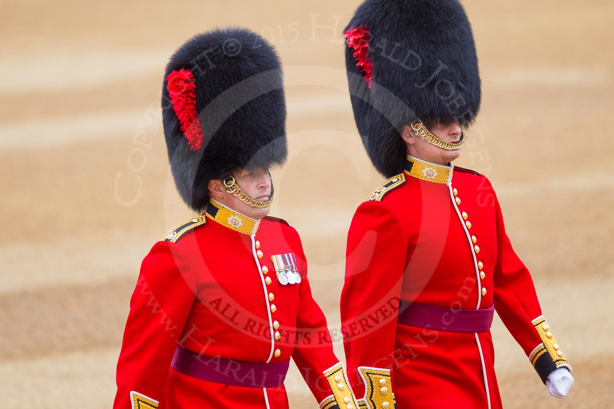 The Colonel's Review 2016.
Horse Guards Parade, Westminster,
London,

United Kingdom,
on 04 June 2016 at 10:05, image #27