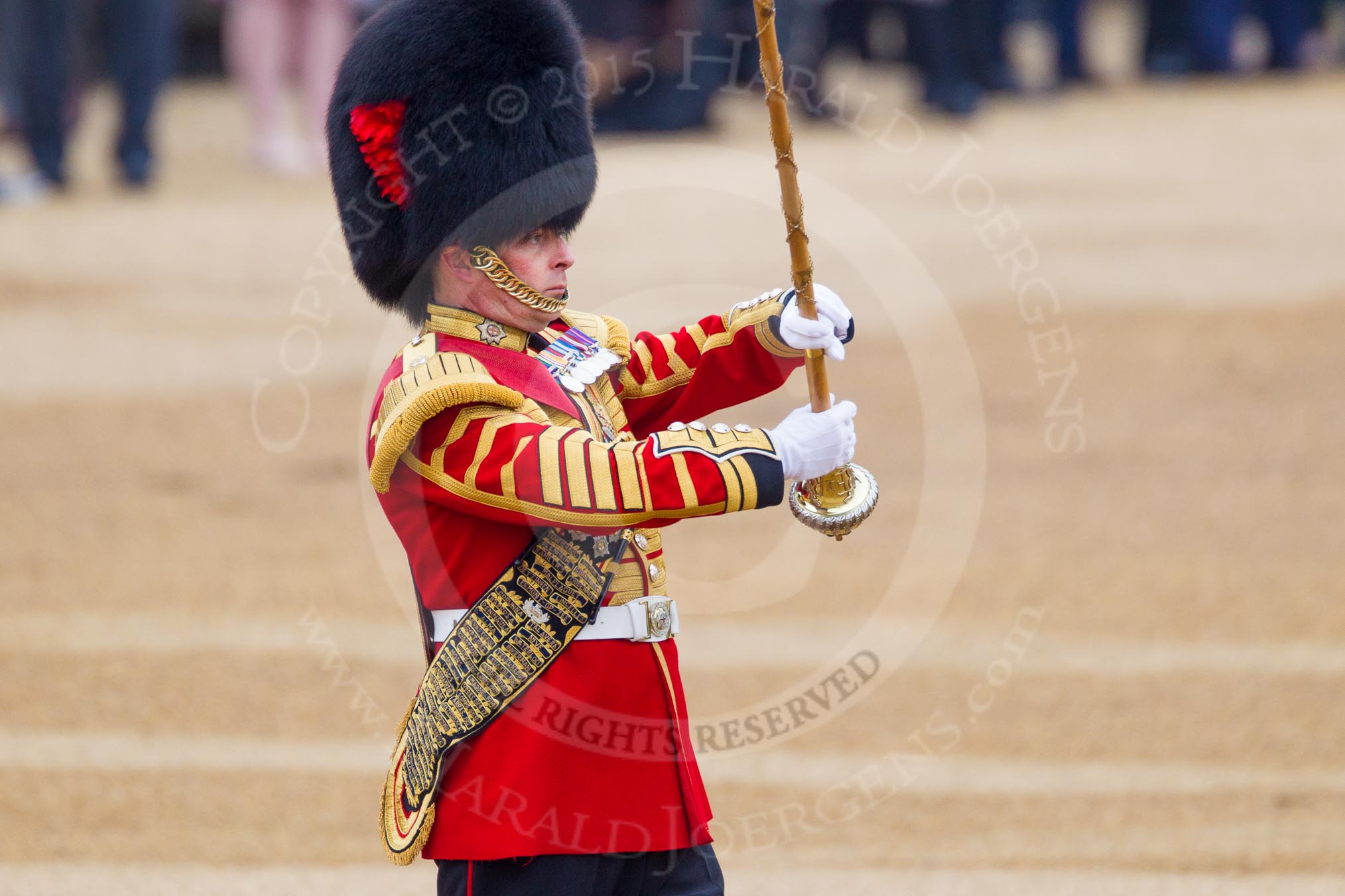 The Colonel's Review 2016.
Horse Guards Parade, Westminster,
London,

United Kingdom,
on 04 June 2016 at 10:16, image #40