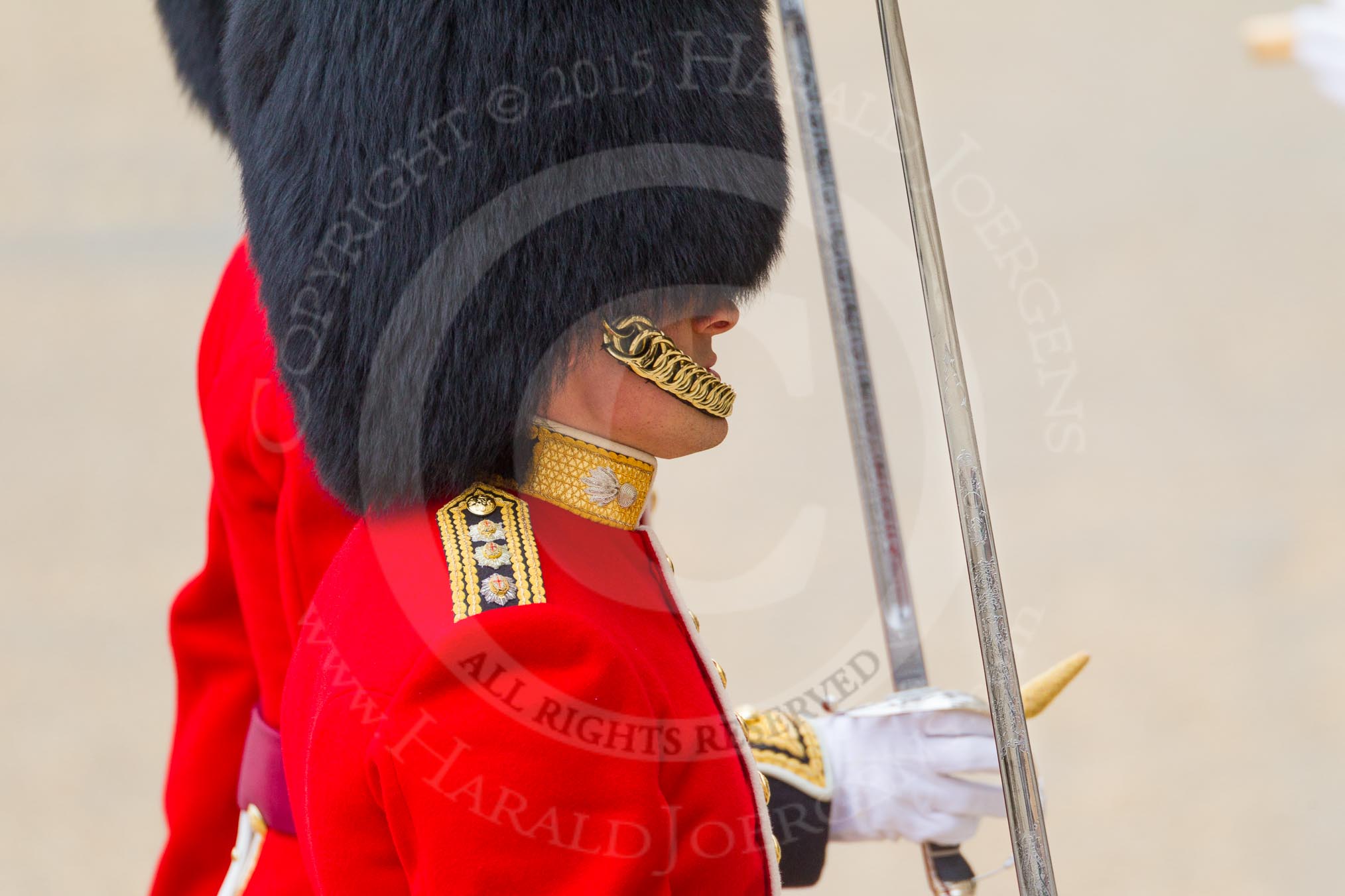 The Colonel's Review 2016.
Horse Guards Parade, Westminster,
London,

United Kingdom,
on 04 June 2016 at 10:30, image #77