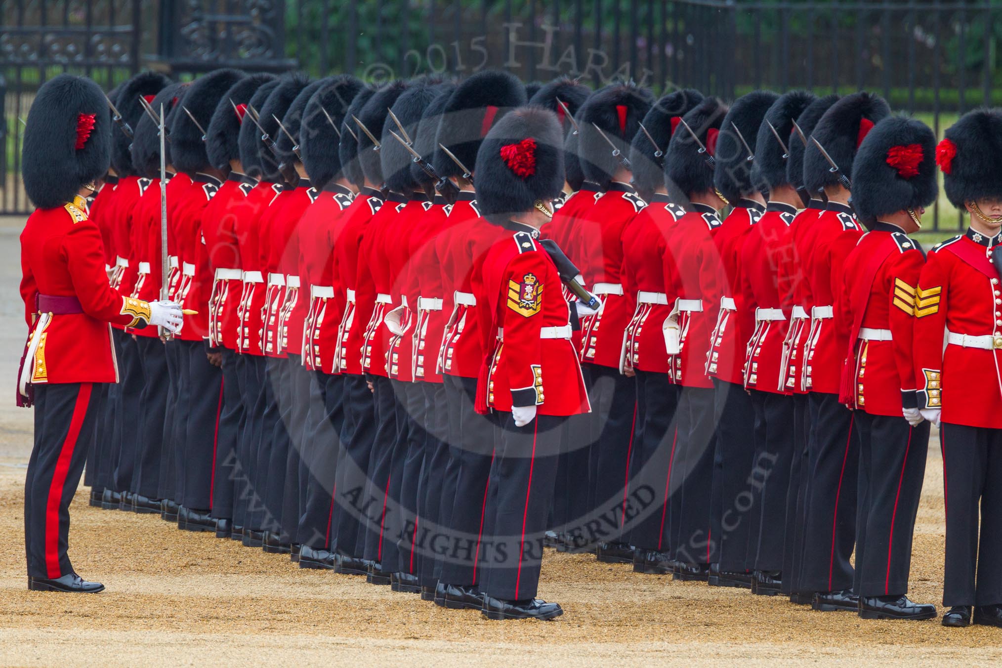 The Colonel's Review 2016.
Horse Guards Parade, Westminster,
London,

United Kingdom,
on 04 June 2016 at 10:44, image #121