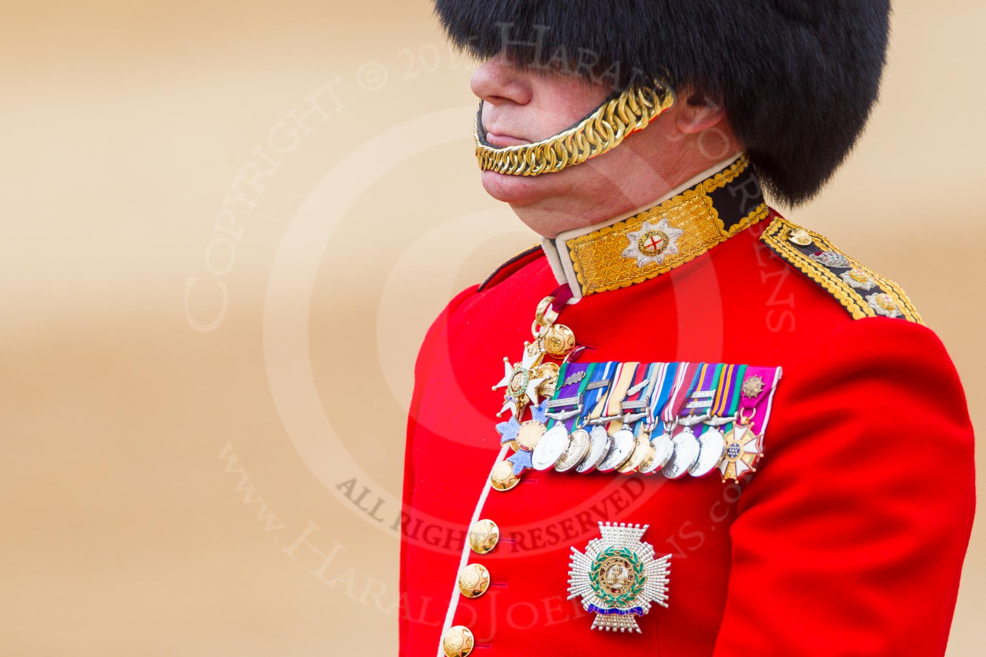 The Colonel's Review 2016.
Horse Guards Parade, Westminster,
London,

United Kingdom,
on 04 June 2016 at 11:00, image #178