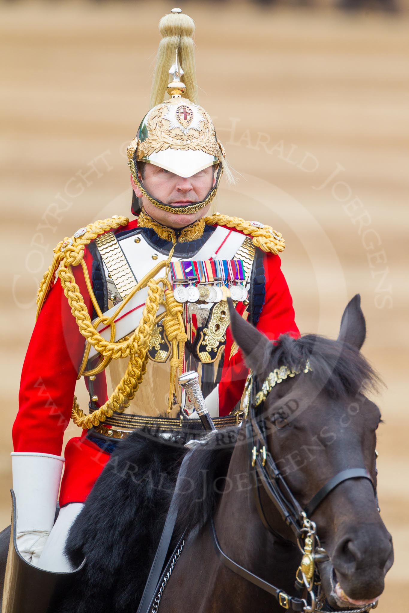 The Colonel's Review 2016.
Horse Guards Parade, Westminster,
London,

United Kingdom,
on 04 June 2016 at 11:06, image #219