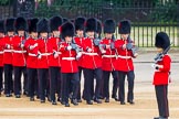 The Colonel's Review 2016.
Horse Guards Parade, Westminster,
London,

United Kingdom,
on 04 June 2016 at 10:29, image #76