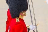 The Colonel's Review 2016.
Horse Guards Parade, Westminster,
London,

United Kingdom,
on 04 June 2016 at 10:30, image #77