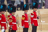 The Colonel's Review 2016.
Horse Guards Parade, Westminster,
London,

United Kingdom,
on 04 June 2016 at 10:31, image #80