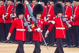 The Colonel's Review 2016.
Horse Guards Parade, Westminster,
London,

United Kingdom,
on 04 June 2016 at 10:32, image #82