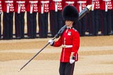 The Colonel's Review 2016.
Horse Guards Parade, Westminster,
London,

United Kingdom,
on 04 June 2016 at 10:32, image #84