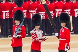 The Colonel's Review 2016.
Horse Guards Parade, Westminster,
London,

United Kingdom,
on 04 June 2016 at 10:34, image #88