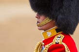 The Colonel's Review 2016.
Horse Guards Parade, Westminster,
London,

United Kingdom,
on 04 June 2016 at 10:57, image #150