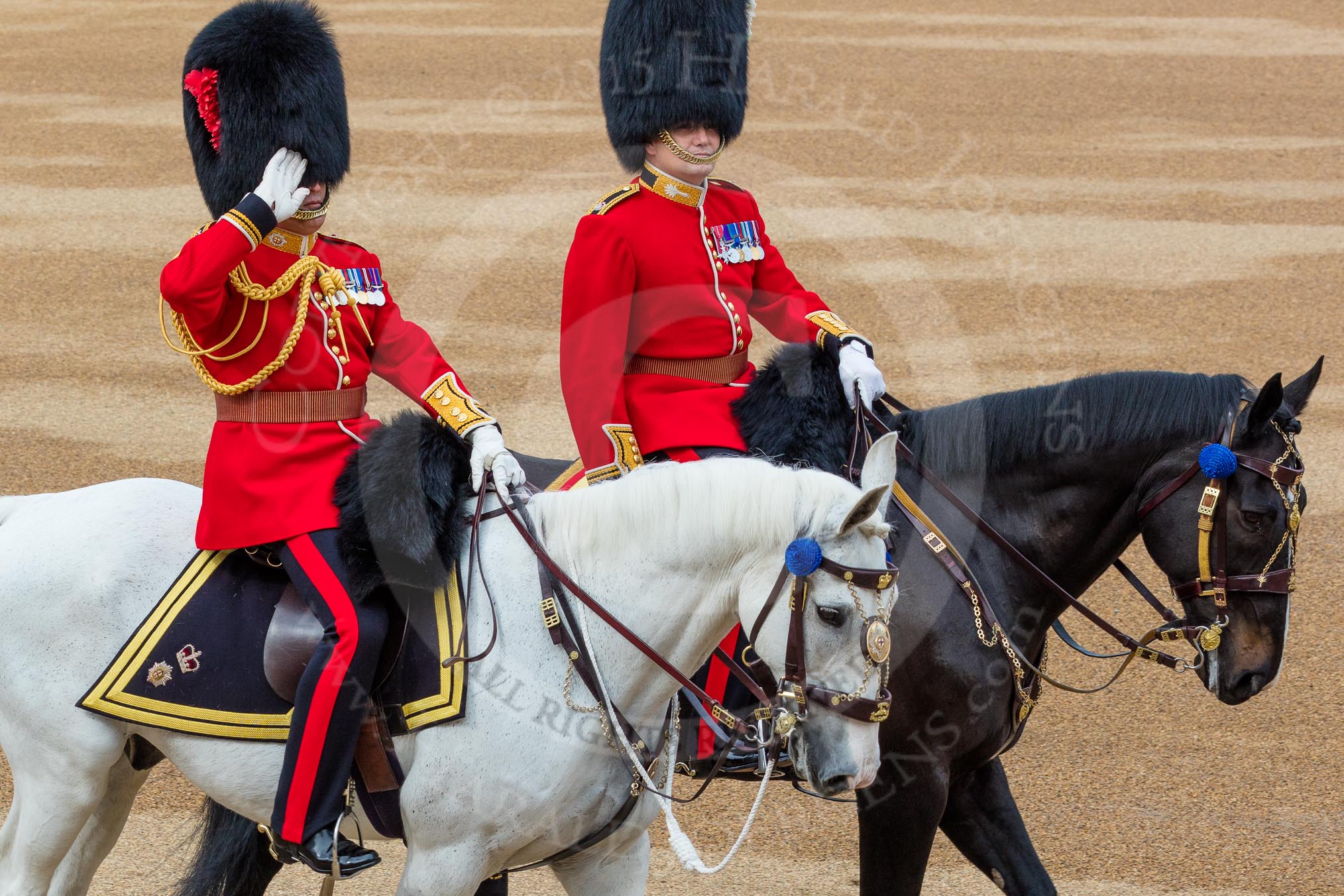 Trooping the Colour 2016.
Horse Guards Parade, Westminster,
London SW1A,
London,
United Kingdom,
on 11 June 2016 at 09:37, image #29