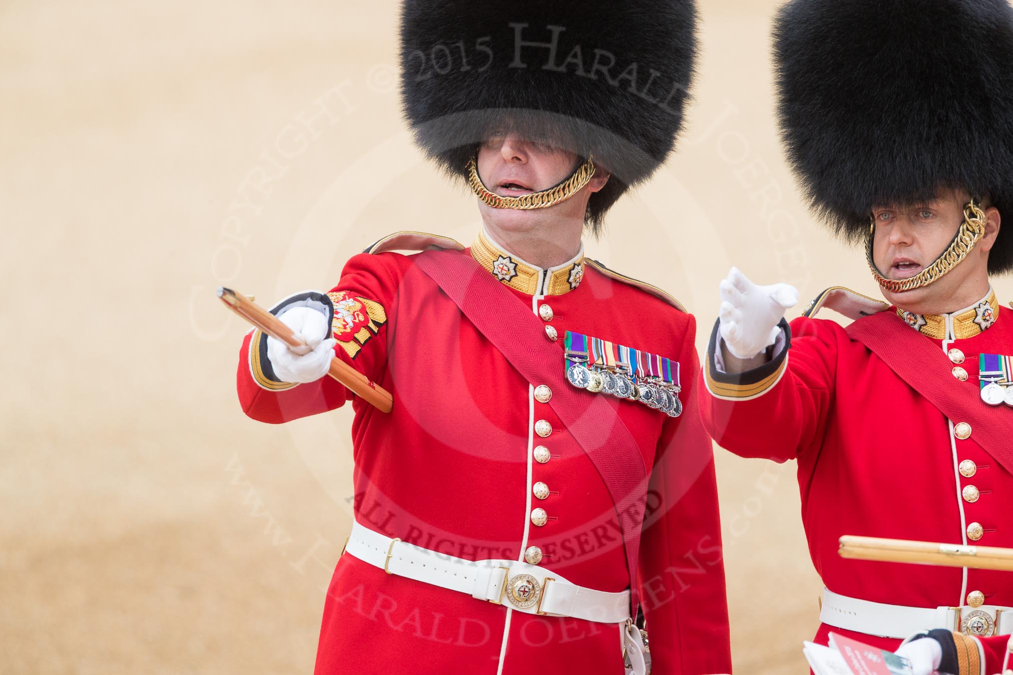 Trooping the Colour 2016.
Horse Guards Parade, Westminster,
London SW1A,
London,
United Kingdom,
on 11 June 2016 at 10:05, image #67