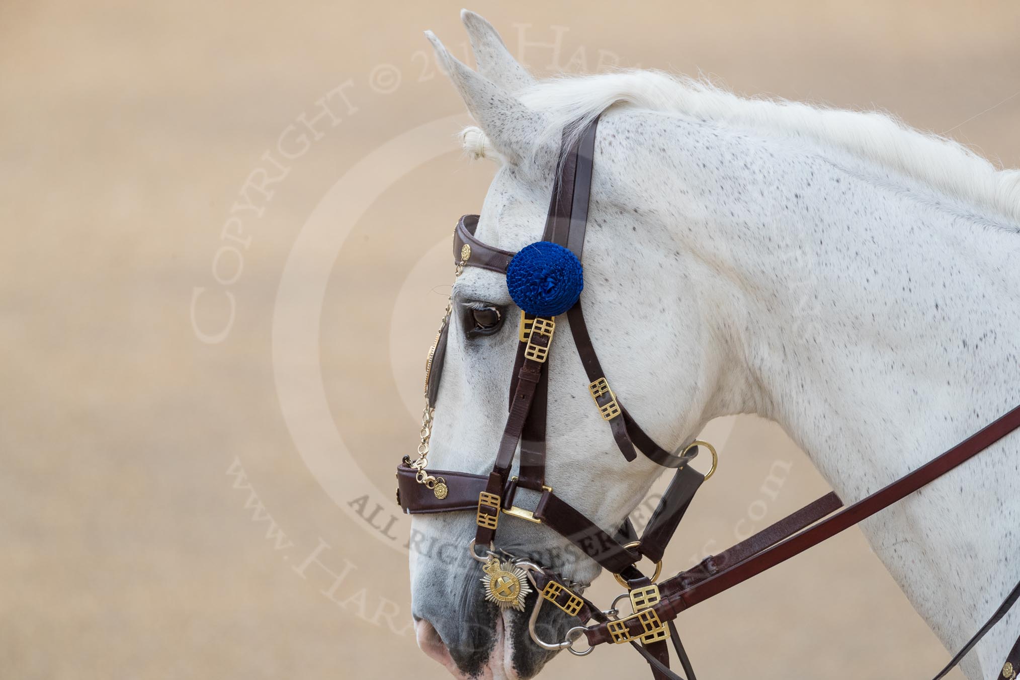 Trooping the Colour 2016.
Horse Guards Parade, Westminster,
London SW1A,
London,
United Kingdom,
on 11 June 2016 at 10:39, image #193