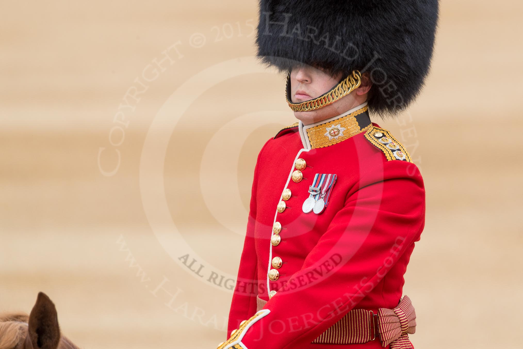 Trooping the Colour 2016.
Horse Guards Parade, Westminster,
London SW1A,
London,
United Kingdom,
on 11 June 2016 at 10:39, image #195