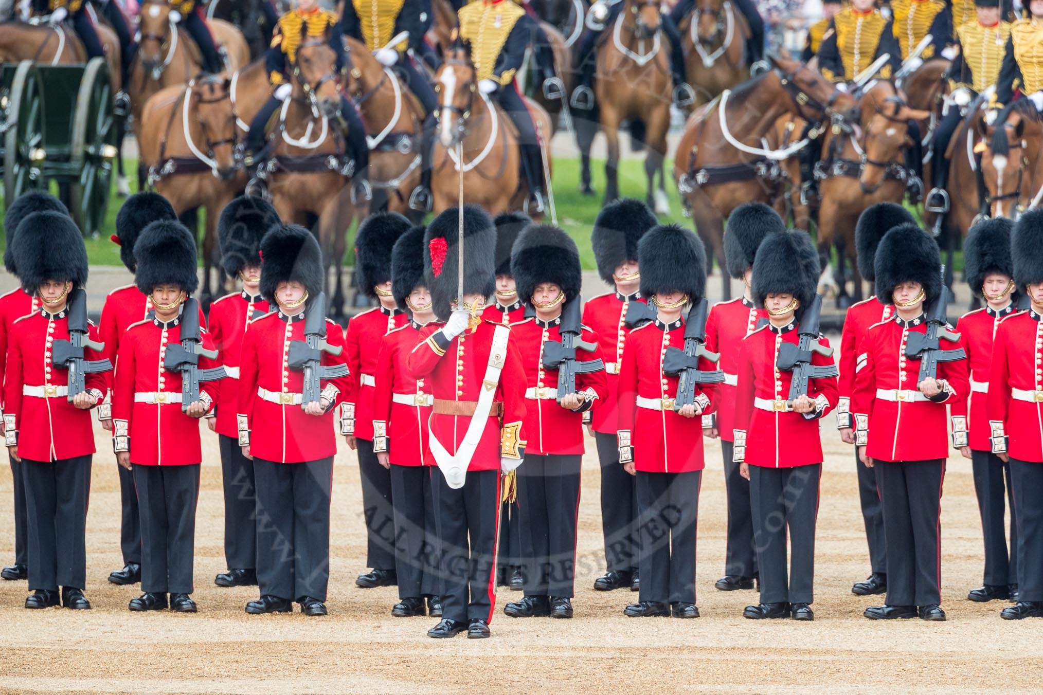 Trooping the Colour 2016.
Horse Guards Parade, Westminster,
London SW1A,
London,
United Kingdom,
on 11 June 2016 at 10:42, image #206