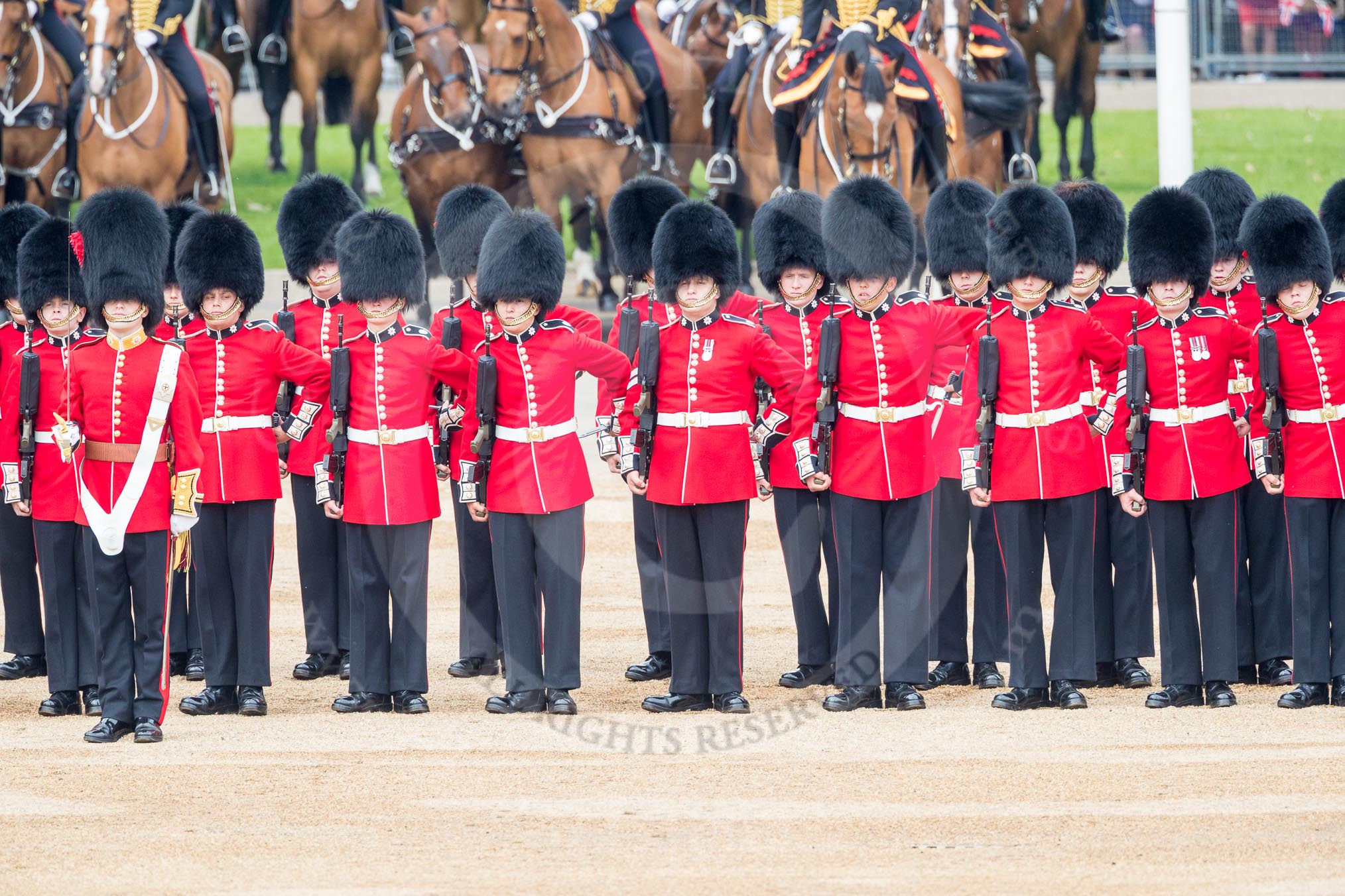 Trooping the Colour 2016.
Horse Guards Parade, Westminster,
London SW1A,
London,
United Kingdom,
on 11 June 2016 at 10:43, image #208