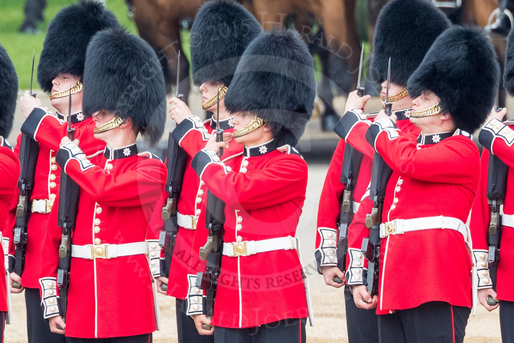 Trooping the Colour 2016.
Horse Guards Parade, Westminster,
London SW1A,
London,
United Kingdom,
on 11 June 2016 at 10:43, image #211