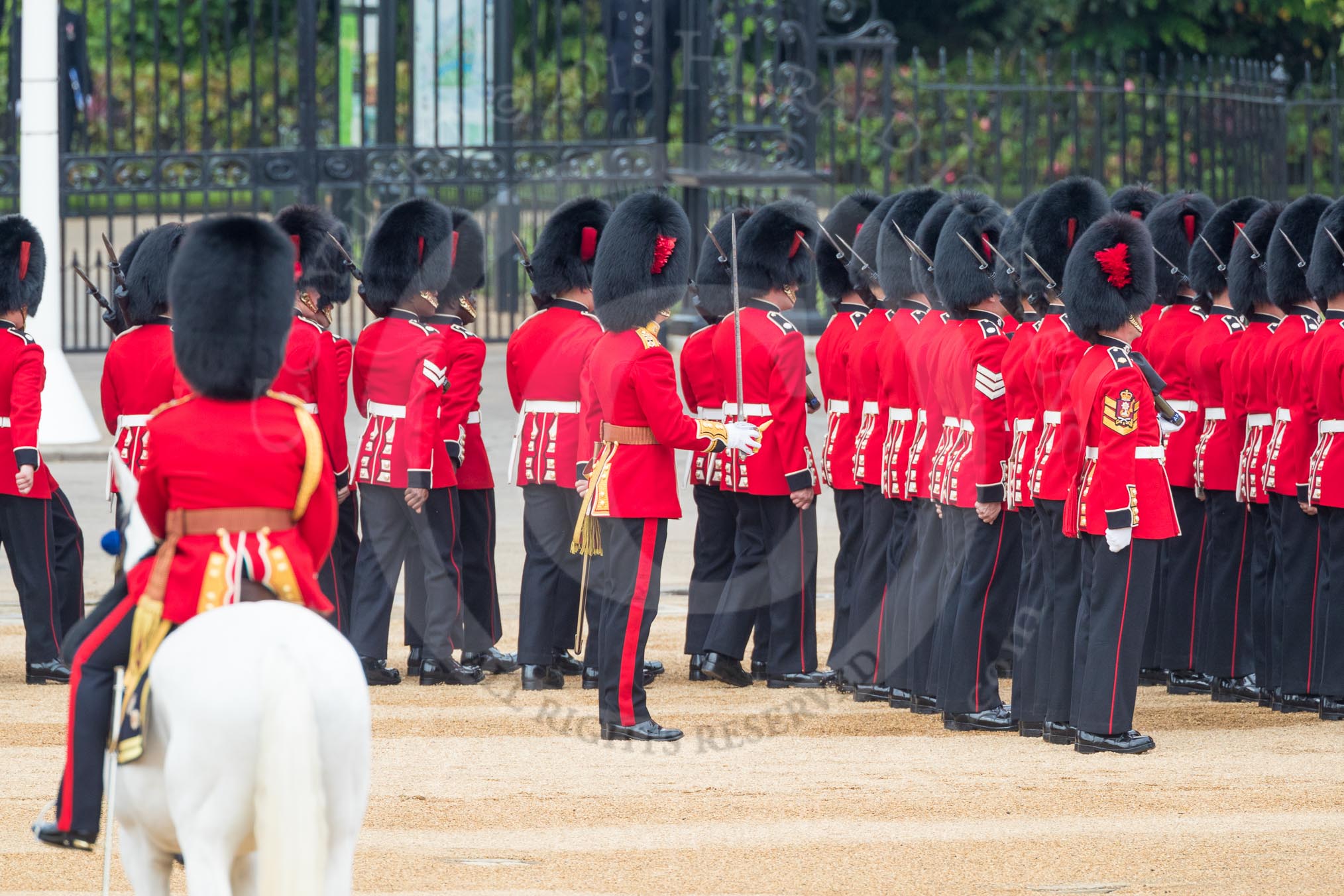 Trooping the Colour 2016.
Horse Guards Parade, Westminster,
London SW1A,
London,
United Kingdom,
on 11 June 2016 at 10:44, image #216