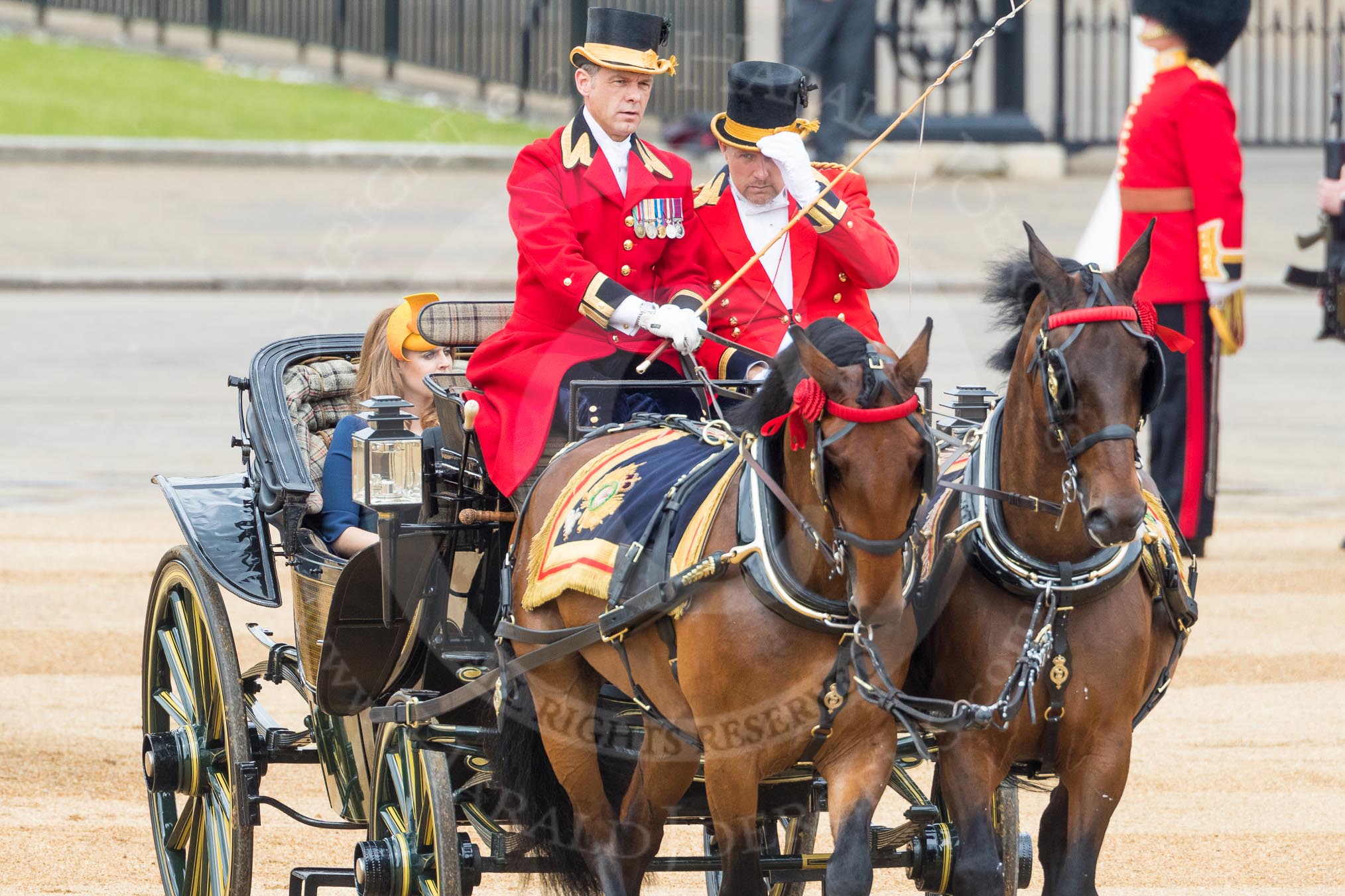 Trooping the Colour 2016.
Horse Guards Parade, Westminster,
London SW1A,
London,
United Kingdom,
on 11 June 2016 at 10:52, image #252