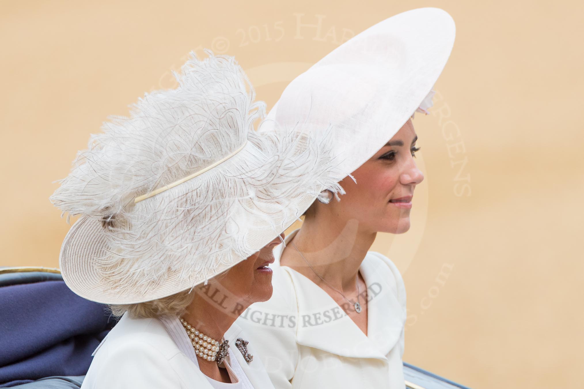 Trooping the Colour 2016.
Horse Guards Parade, Westminster,
London SW1A,
London,
United Kingdom,
on 11 June 2016 at 10:52, image #261